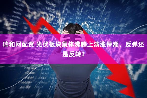 瑞和网配资 光伏板块集体沸腾上演涨停潮，反弹还是反转？