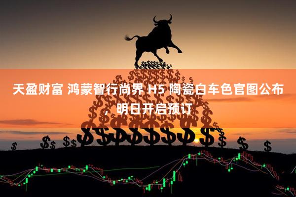 天盈财富 鸿蒙智行尚界 H5 陶瓷白车色官图公布，明日开启预订