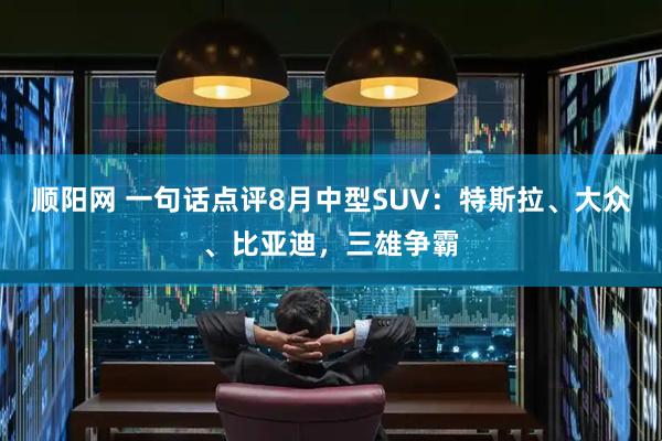 顺阳网 一句话点评8月中型SUV：特斯拉、大众、比亚迪，三雄争霸