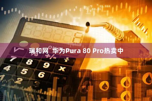 瑞和网  华为Pura 80 Pro热卖中